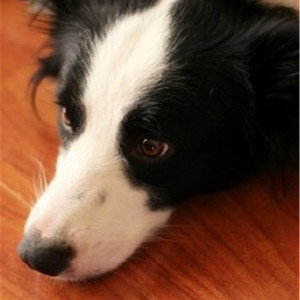 揉我胸⋯啊⋯嗯～出奶了3D
